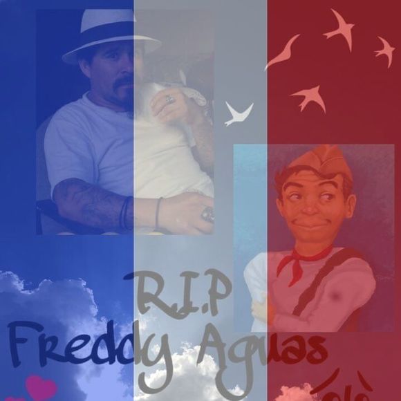 Meet your Posher, Jaime joel - Picture 1 of 1